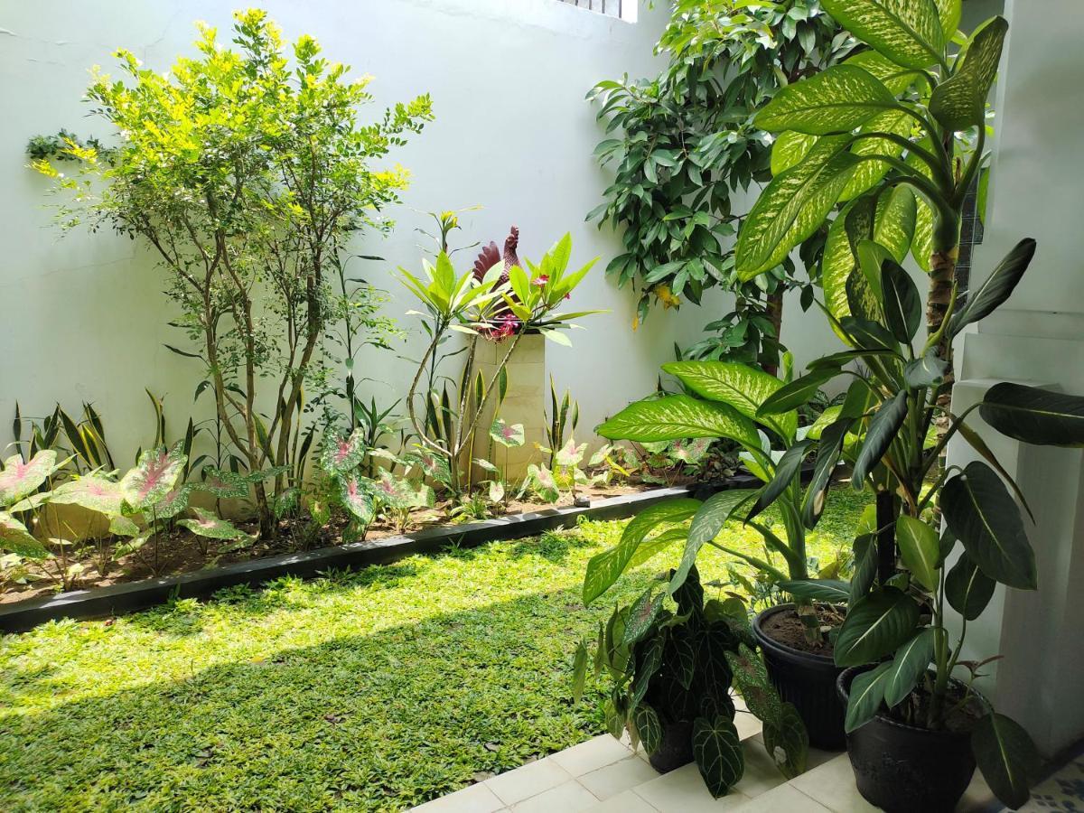 Griya Asih Hotel Jogjacarta Exterior foto